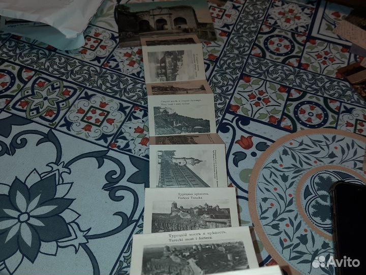 Каменец - подольск. русская брама. 13 видов