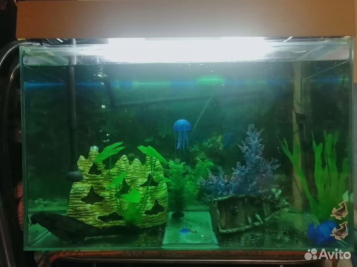 Аквариум с тумбой