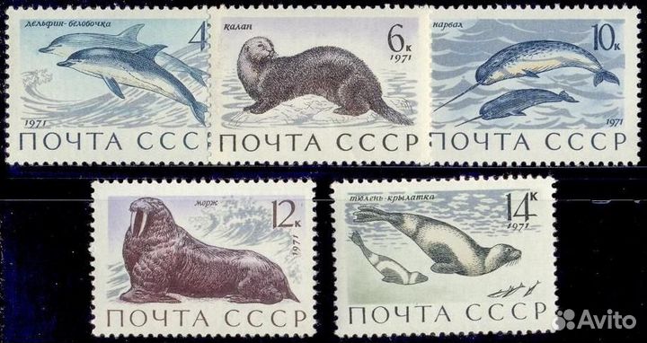СССР, 1971. (4037-41) Фауна, морские млекопитающие