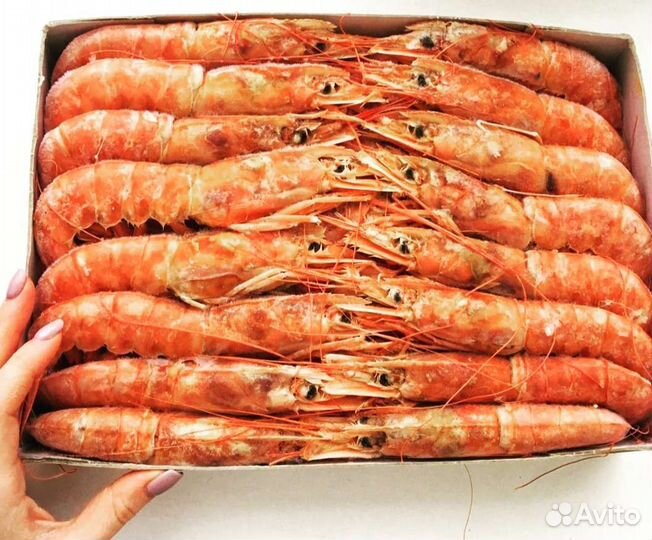 Лангустины