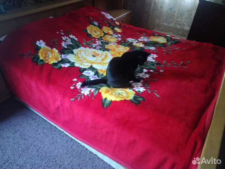 Плед двойной