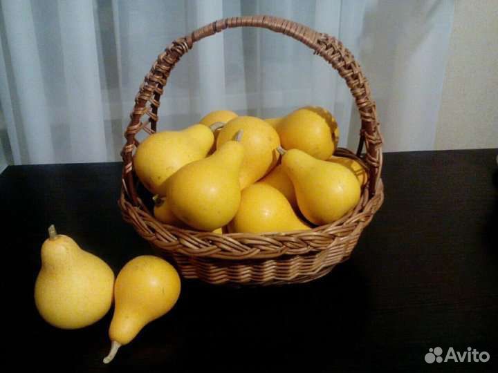 Саженцы ремонтантной малины