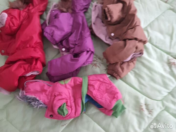 Одежда для маленьких собак чихуа