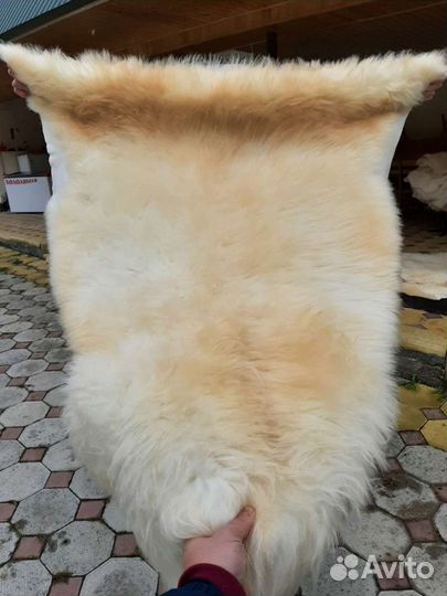 Шкуры овчина