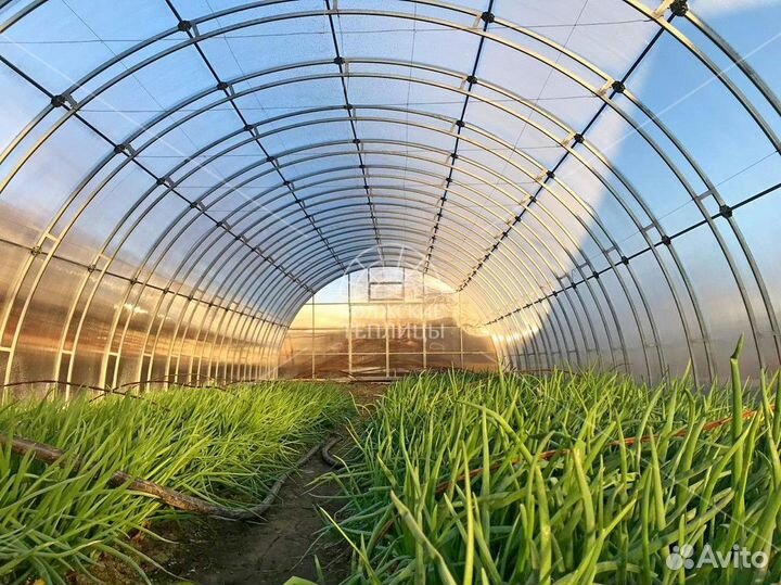 Разнорабочий в теплицу Калуга вахта