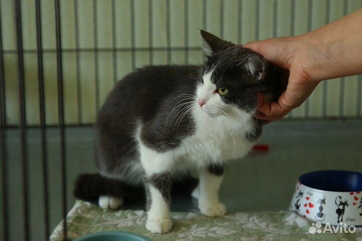 Марта очень хочет домой