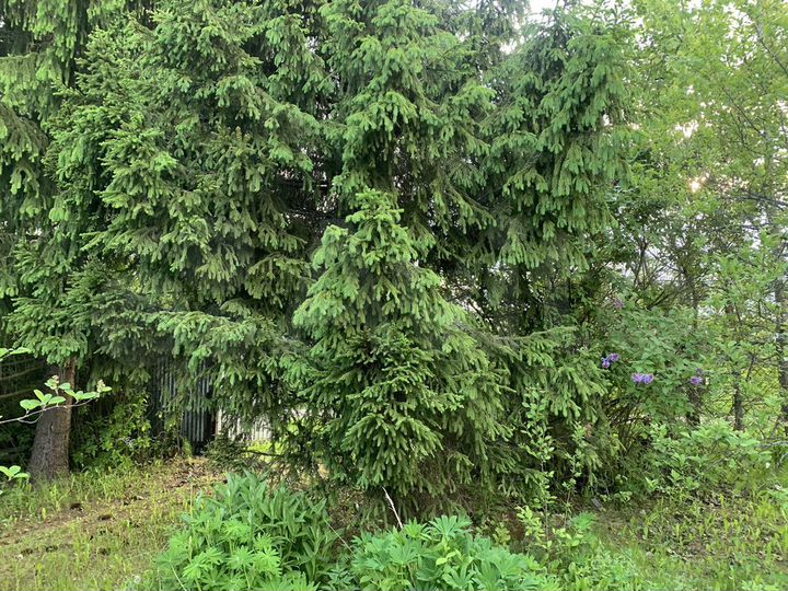 Дом 80 м² на участке 7,5 сот.