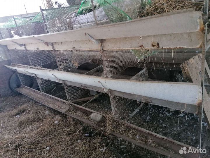 Клетки для перевозки и содержания птиц