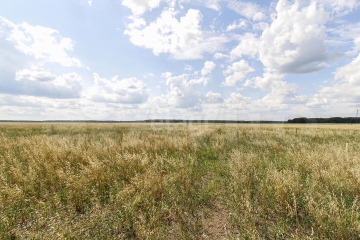 Участок 8,3 сот. (СНТ, ДНП)