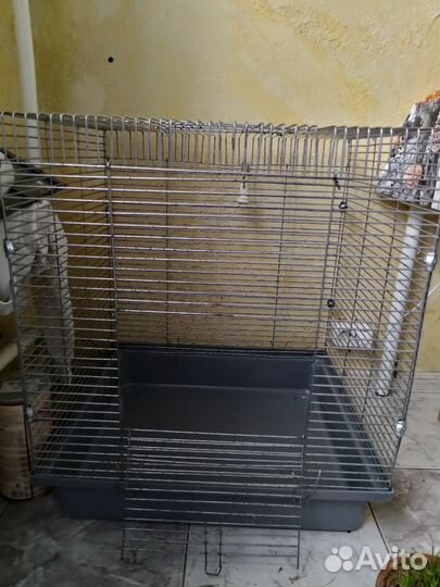 Клетка для грызунов большая