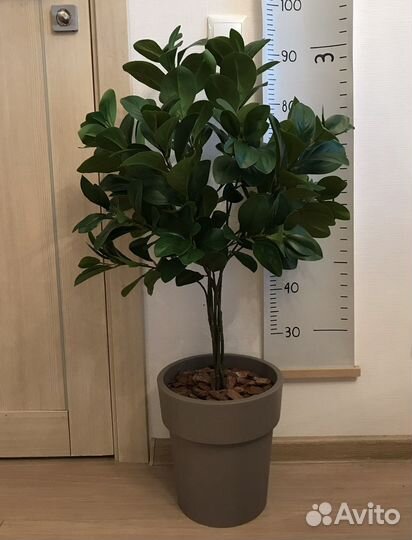 Дерево Фикус Пальма искусственные цветы Икеа