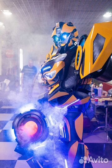 Аниматоры шоу организация