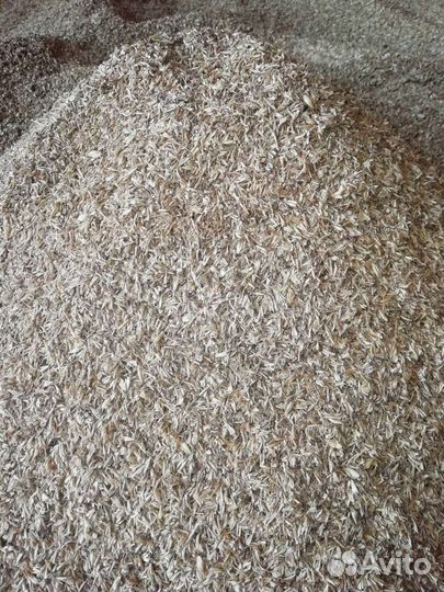 Сухая пивная дробина в мешках по 20 кг