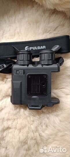 Pulsar Accolade 2 XP50