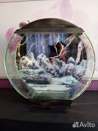 Аквариумы 30 л., 50 л., 100 л