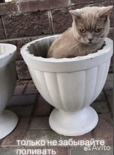 Вазон из бетона