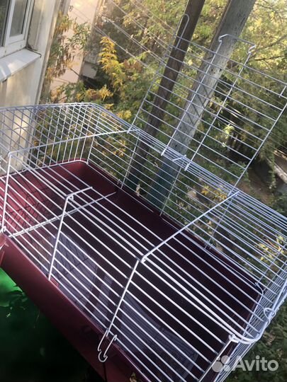 Клетка для морской свинки или кролика