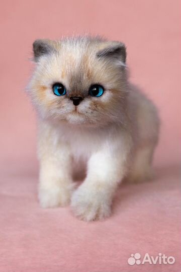 Мягкая игрушка Котенок ручной работы