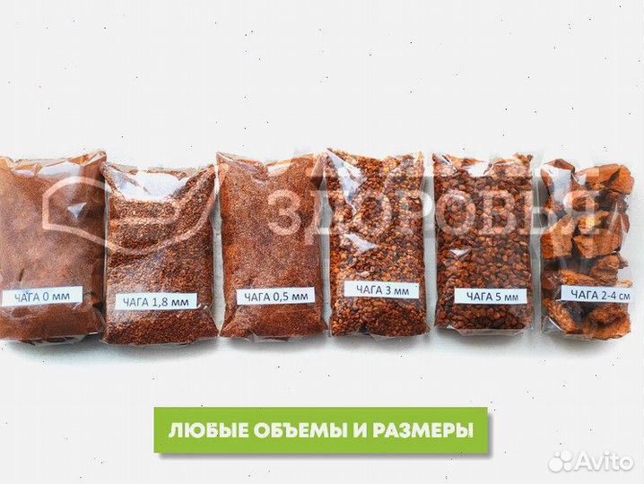 Чага сушеная опт. Любые объемы и виды