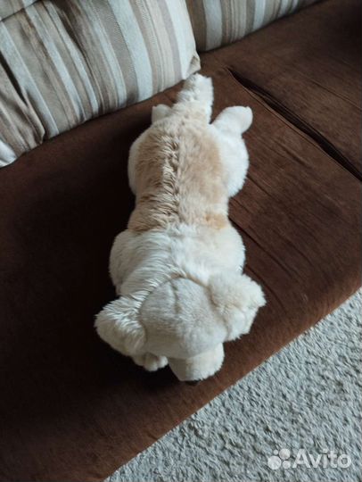 Мягкие игрушки собака