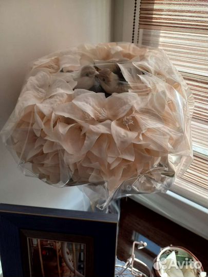 Букет для невесты. Новый