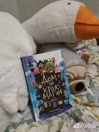 Книга дом на краю магии