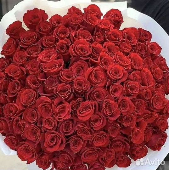 Высокие розы Гигантские розы Доставка цветов