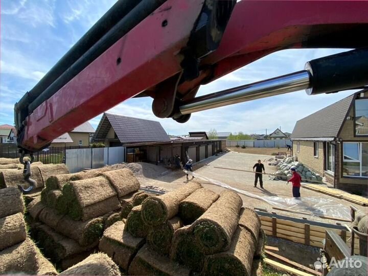 Рулонный газон 