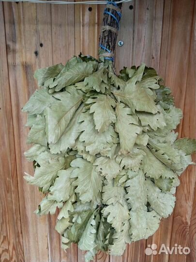 Дубовые веники для бани