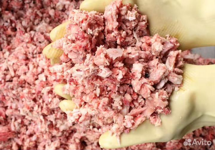 Дробилка для мясокостного сырья ZH-SGB230