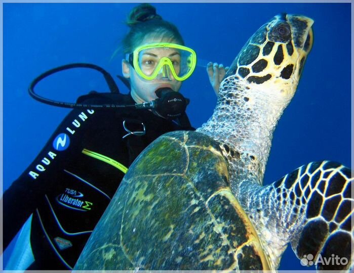 Дайвинг обучение,выдача международного сертификата