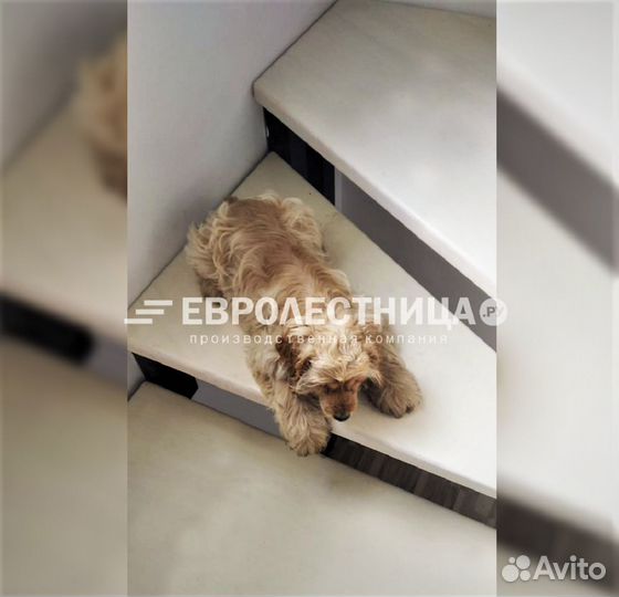 Лестница