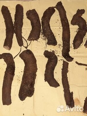 Пион Boule DE Neige