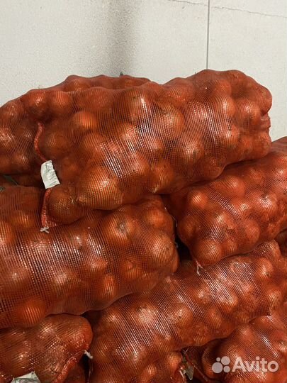 Лук репчатый оптом