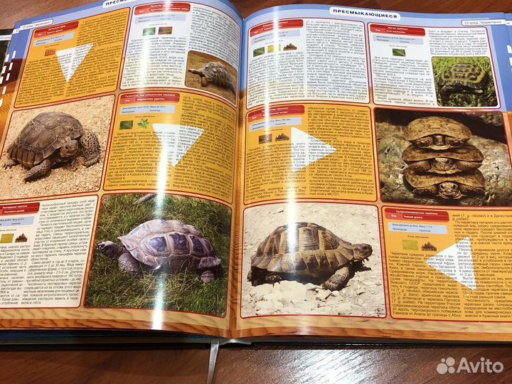 Детская энциклопедия