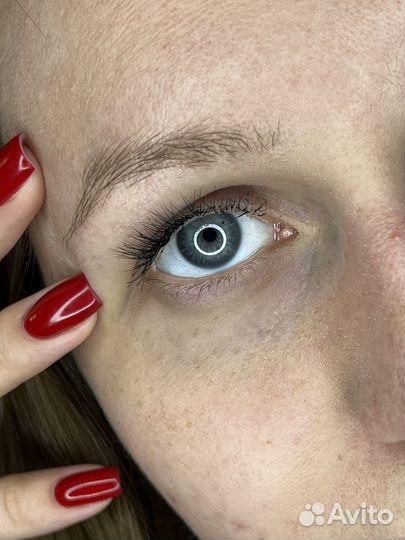 Бровист Балашиха