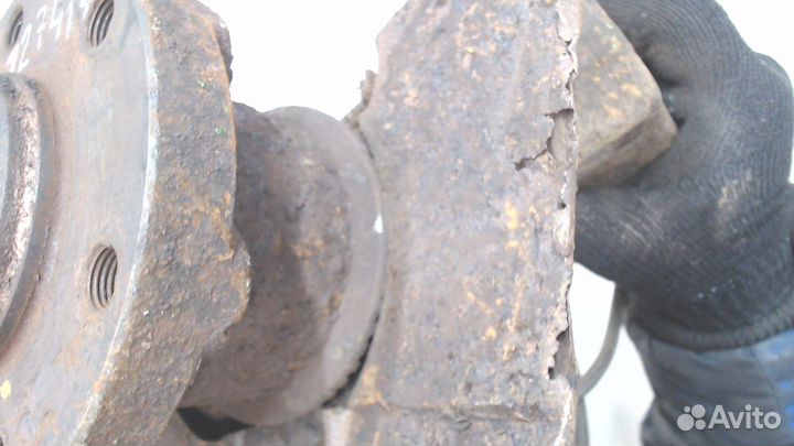 Ступица (кулак, цапфа) Iveco Daily 4, 2008