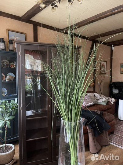 Декоративная трава