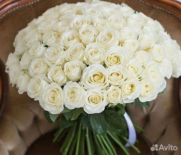 Розы Букеты Цветы Розы 31 101 151 201 Доставка