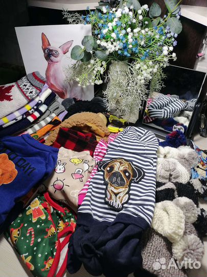 Одежда для собак и кошек