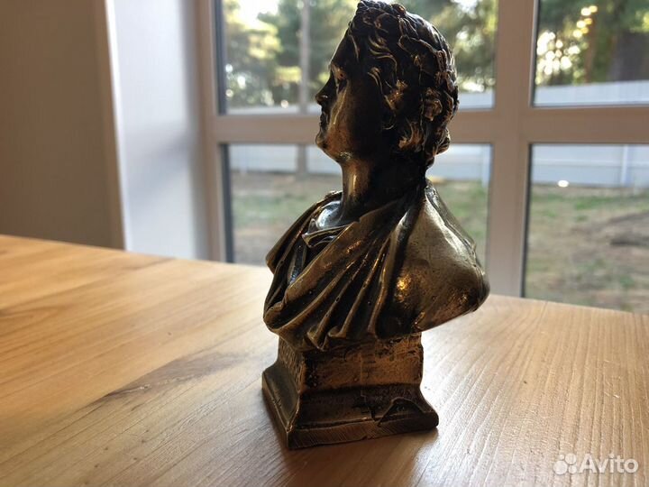 Бронзовый бюст Петр 1