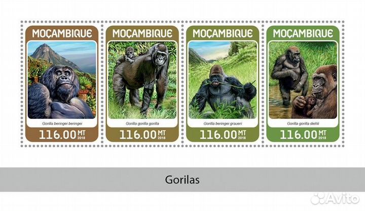 Мозамбик, 2018. (moz18324) Фауна, гориллы (мл+блок