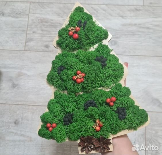 Эко картины из мха и других природных материалов