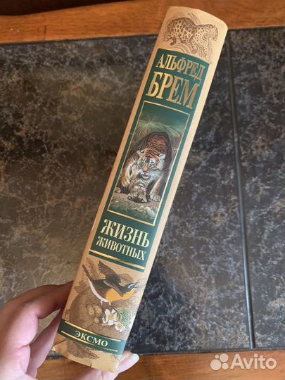 Жизнь животных. Брем Альфред Эдмунд 2004
