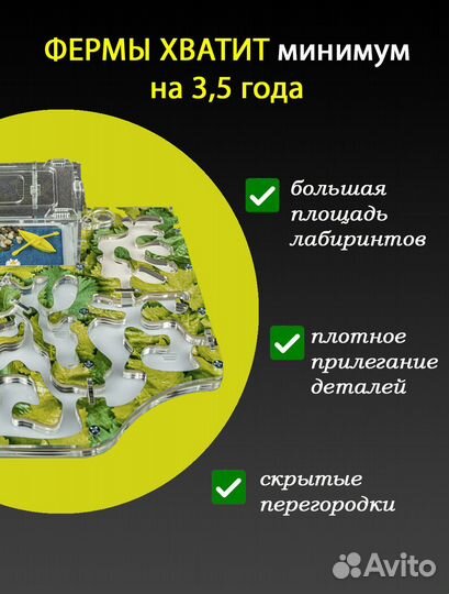 Муравьиная ферма (Формикарий) Макси