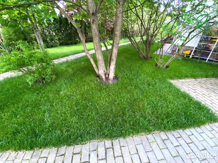 Рулонный газон