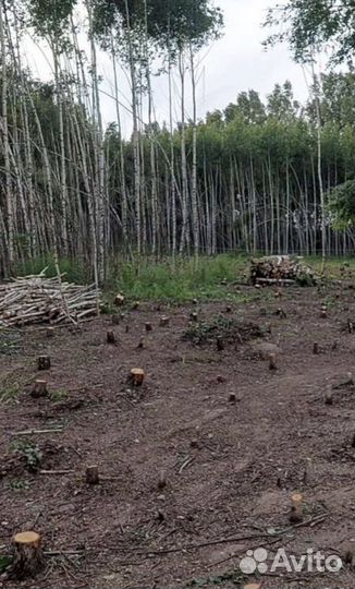 Дрова бесплатно