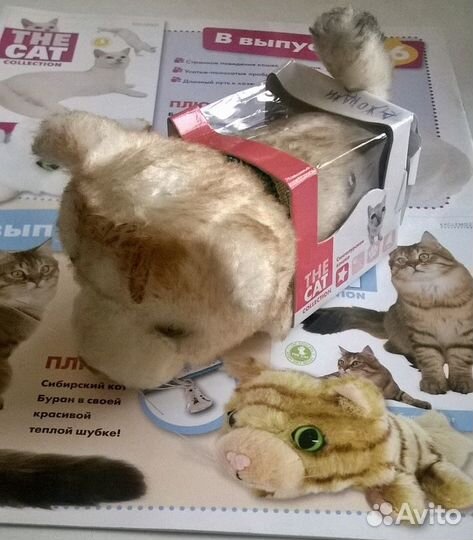 The Cat collection