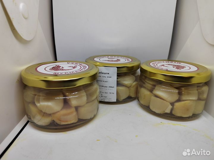 Морской гребешок