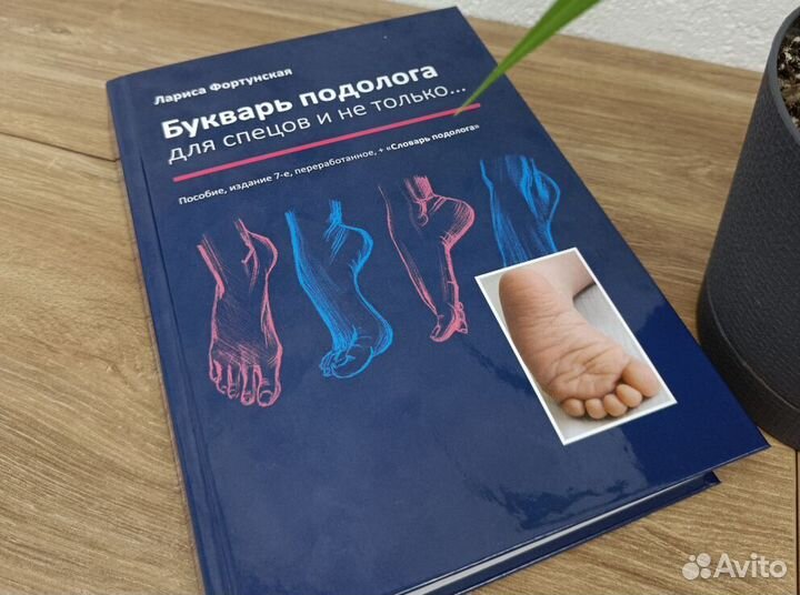 Букварь подолога для спецов и не только + словарь